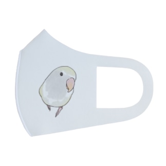 コザクラインコ　バイオレットパイドちゃん【まめるりはことり】