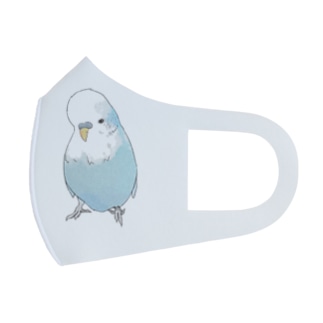 可愛いジャンボセキセイインコ【まめるりはことり】