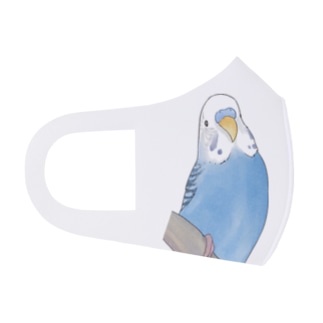 セキセイインコちゃんと止まり木【まめるりはことり】