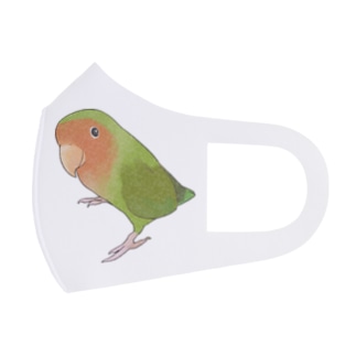 見つめるコザクラインコちゃん【まめるりはことり】