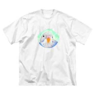 セキセイインコ　オパーリン【まめるりはことり】