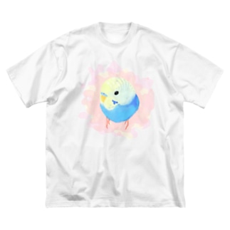 まるまるセキセイインコ【まめるりはことり】