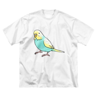 ごきげんセキセイインコ【まめるりはことり】