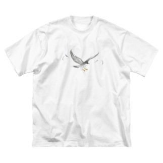 隼ファルコン【まめるりはことり】