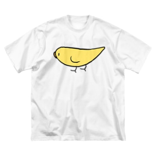 とことこセキセイインコルチノーちゃん【まめるりはことり】