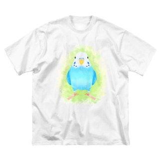 ほんわかセキセイインコ　ブルー【まめるりはことり】