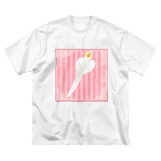 ハートルチノーオカメインコ【まめるりはことり】