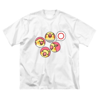 オカメインコまる〇【まめるりはことり】