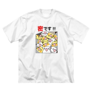 密です！オカメインコさん【まめるりはことり】