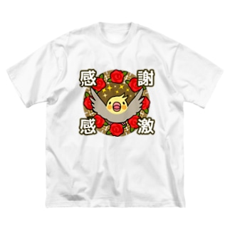 感謝感激オカメインコ【まめるりはことり】