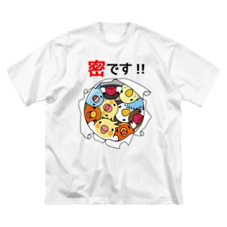 密です！鳥まみれ3密【まめるりはことり】