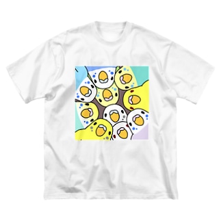 みっちりむっちり過密セキセイインコさん【まめるりはことり】