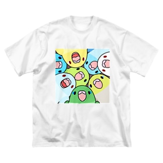 みっちりマメルリハ【まめるりはことり】