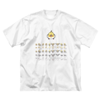 整列オカメインコ隊【まめるりはことり】