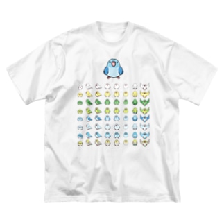 整列マメルリハ隊【まめるりはことり】