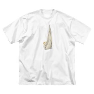 尾羽がピン　可愛いオカメインコちゃん【まめるりはことり】