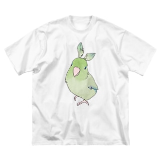 お羽飾り　マメルリハちゃん【まめるりはことり】