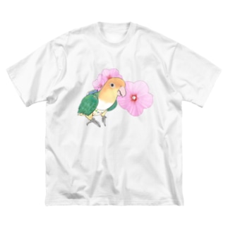 お花とシロハラインコちゃん【まめるりはことり】