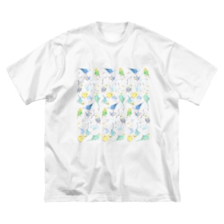 たくさんセキセイインコちゃん【まめるりはことり】