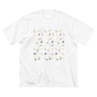 たっぷりオカメインコちゃん【まめるりはことり】