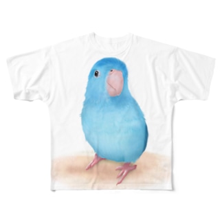 ブルーマメルリハ【まめるりはことり】