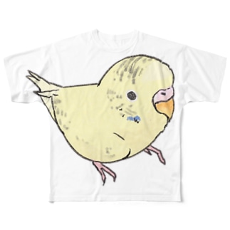 可愛いセキセイインコ　おすましちゃん【まめるりはことり】