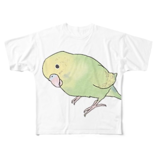 首傾げ　スパングルセキセイインコちゃん【まめるりはことり】