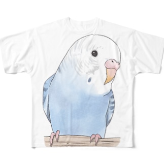 おしゃまな止まり木セキセイインコちゃん【まめるりはことり】