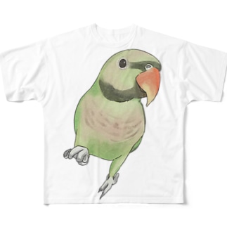 ご機嫌なダルマインコちゃん【まめるりはことり】