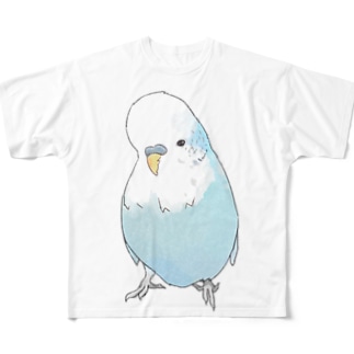 可愛いジャンボセキセイインコ【まめるりはことり】