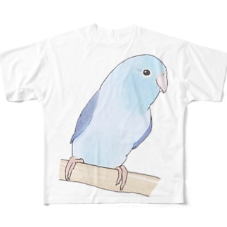 おしゃまなマメルリハのるりちゃん【まめるりはことり】