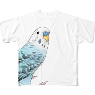 振りむきセキセイインコちゃん【まめるりはことり】