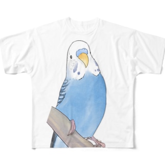 セキセイインコちゃんと止まり木【まめるりはことり】