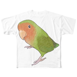 見つめるコザクラインコちゃん【まめるりはことり】