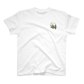 コザクラインコ　モーブとオリーブ【まめるりはことり】