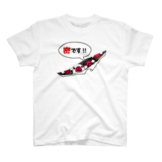 密です！フィンチさん【まめるりはことり】