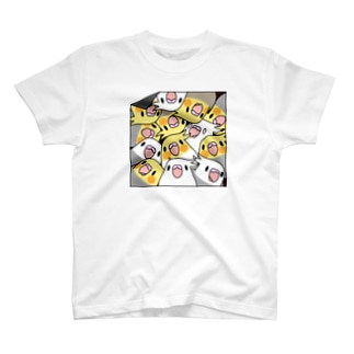 三密です！むちむちオカメインコさん【まめるりはことり】