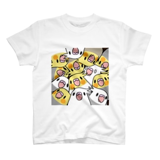 みっちりむっちり過密オカメインコさん【まめるりはことり】【まめるりはことり】