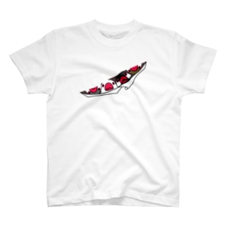 三密です！むちむちフィンチさん【まめるりはことり】