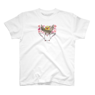 ラブリーオカメインコ【まめるりはことり】