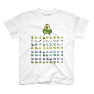 整列セキセイインコ隊【まめるりはことり】