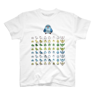 整列マメルリハ隊【まめるりはことり】