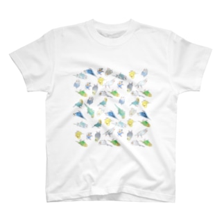 めっちゃセキセイインコちゃん【まめるりはことり】