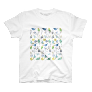 たくさんセキセイインコちゃん【まめるりはことり】