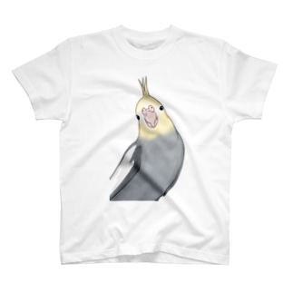 おしゃまなオカメインコちゃん【まめるりはことり】