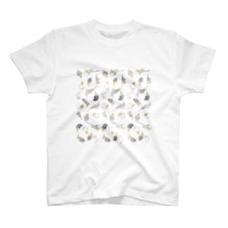 たっぷりオカメインコちゃん【まめるりはことり】