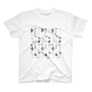 たっぷり文鳥ちゃん【まめるりはことり】