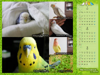 2010年1月2月3月カレンダー壁紙