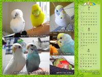 2010年7月8月9月カレンダー壁紙