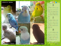 2010年7月8月9月カレンダー壁紙